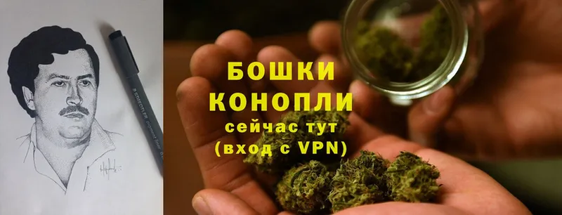 Марихуана OG Kush  Печоры 